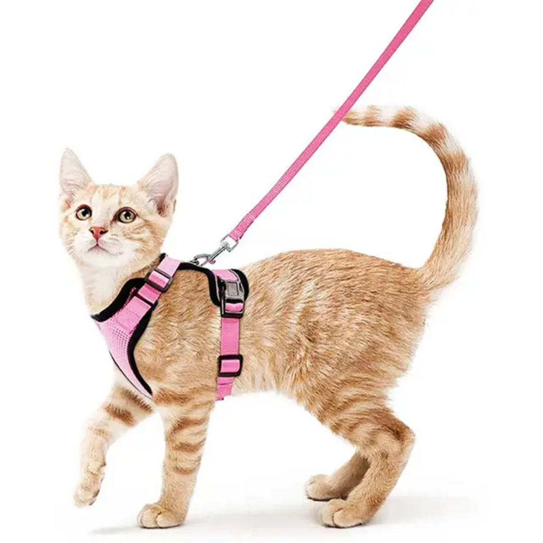 Laisse réglable pour chat PinoPet House, détail du mousqueton et du réglage