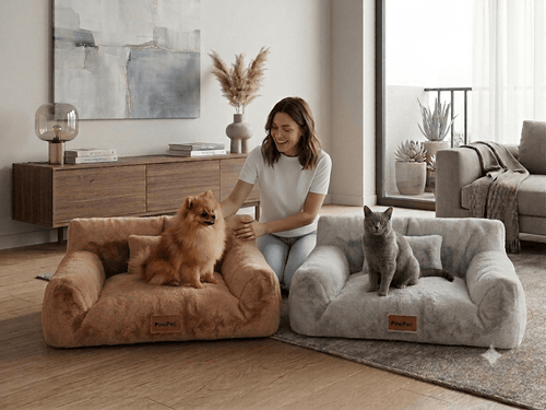 Canapé de luxe pour chat et petit chien avec un chien et un chat dans un cadre élégant.