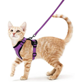Laisse réglable pour chat PinoPet House, coloris noir