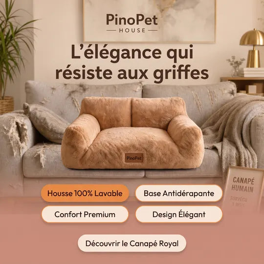 Canapé Royal PinoPet House pour chat et petit chien, coloris marron
