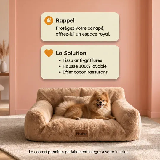 Le Canapé qui sauvera vos meubles !