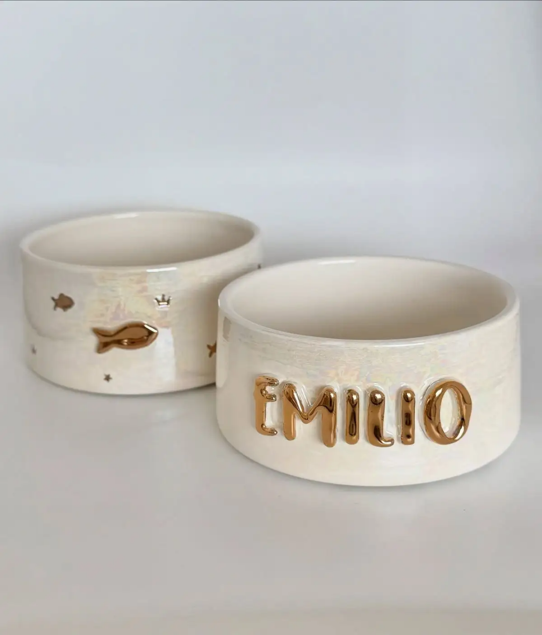 Gamelle Personnalisée Durable Écologique pour Chien et Chat